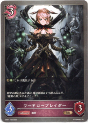 画像1: ワードローブレイダー (1)