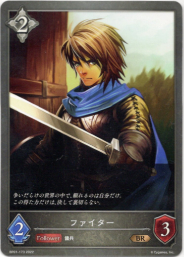 画像1: ファイター (1)