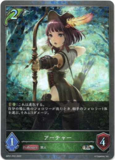 画像1: 【プレミアム】アーチャー (1)