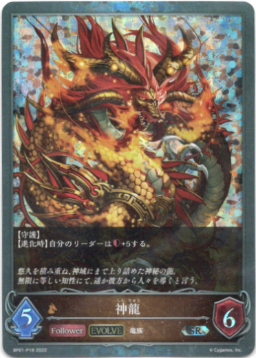 画像1: 【プレミアム】【EVOLVE】神龍 (1)