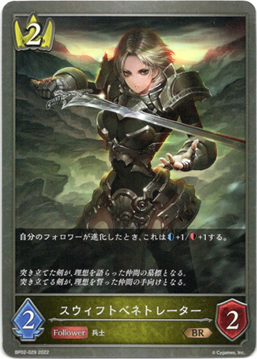 画像1: スウィフトペネトレーター (1)