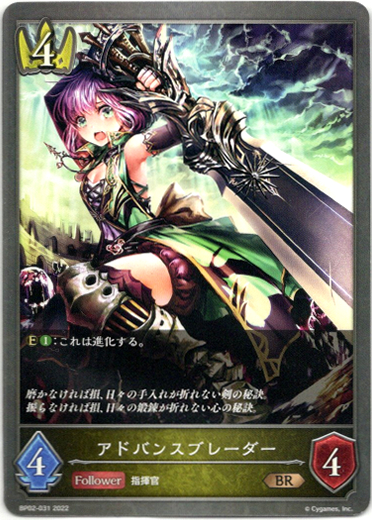 画像1: アドバンスブレーダー (1)