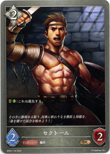 画像1: セクトール (1)