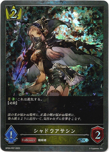 画像1: 【プレミアム】シャドウアサシン (1)