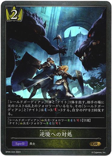 画像1: 逆境への対処 (1)