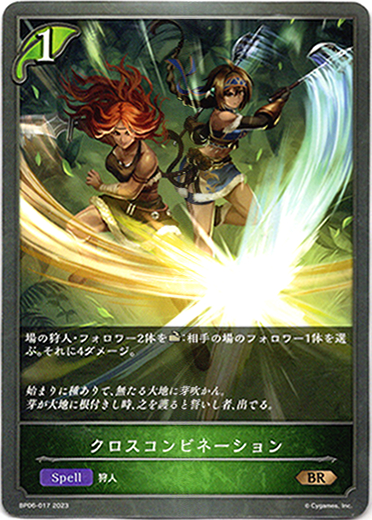 画像1: クロスコンビネーション (1)