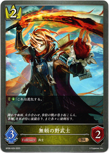 画像1: 無頼の野武士 (1)