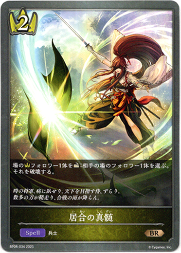 画像1: 居合の真髄 (1)