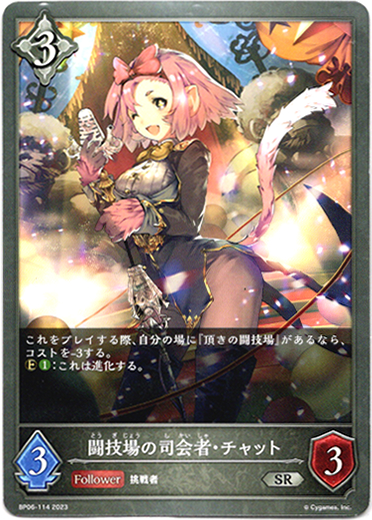 画像1: 闘技場の司会者・チャット (1)