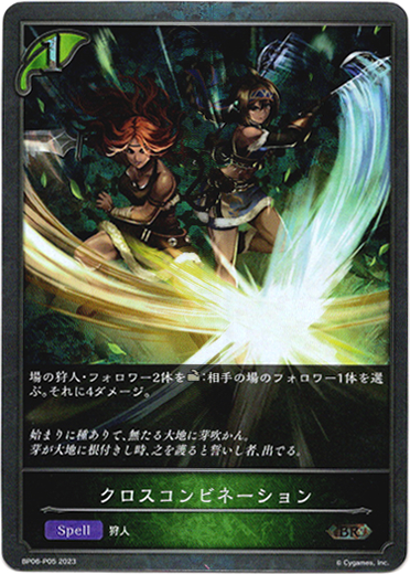 画像1: 【プレミアム】クロスコンビネーション (1)