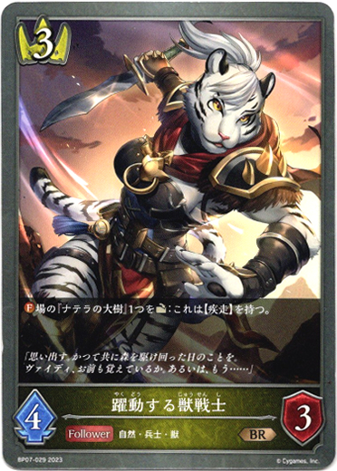 画像1: 躍動する獣戦士 (1)