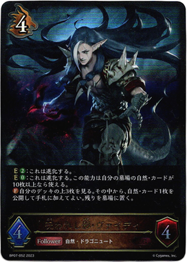 画像1: 呪われし影・ヴァイディ (1)