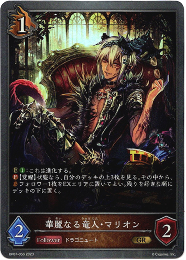 画像1: 華麗なる竜人・マリオン (1)