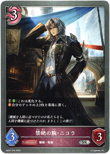 画像1: 禁絶の腕・ニコラ (1)