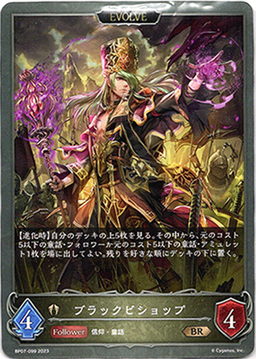 画像1: 【EVOLVE】ブラックビショップ (1)