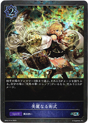 画像1: 【プレミアム】美麗なる術式 (1)