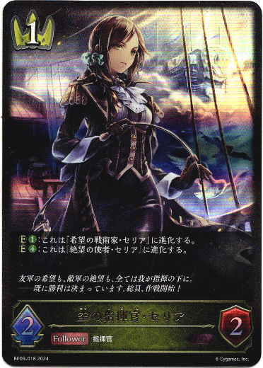 画像1: 空の指揮官・セリア (1)