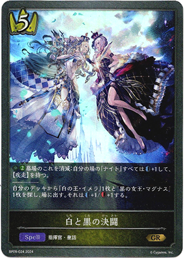 画像1: 白と黒の決闘 (1)