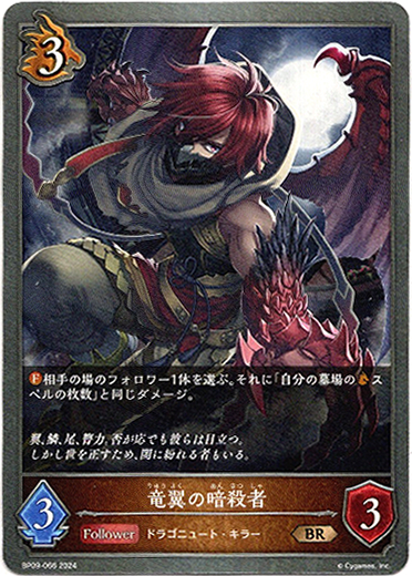 画像1: 竜翼の暗殺者 (1)