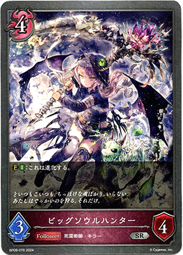 画像1: ビッグソウルハンター (1)