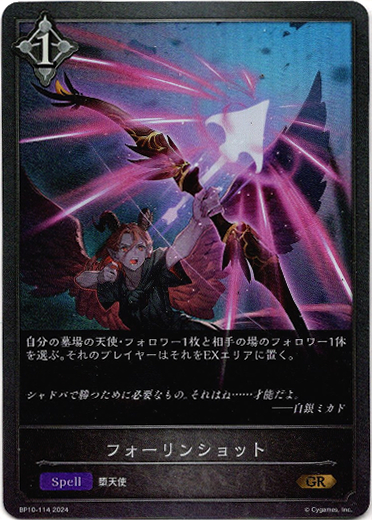 画像1: フォーリンショット (1)