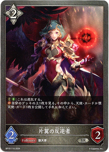 画像1: 片翼の反逆者 (1)