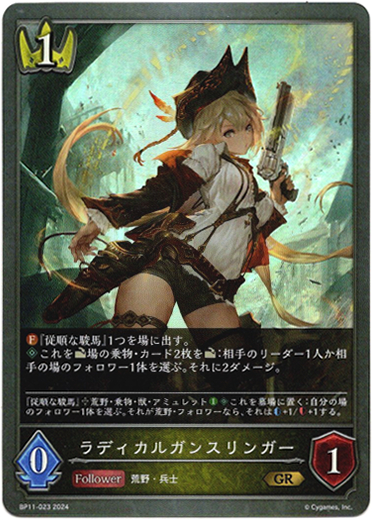 画像1: ラディカルガンスリンガー (1)