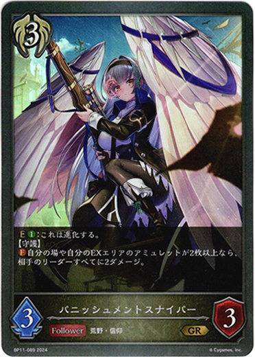 画像1: パニッシュメントスナイパー (1)