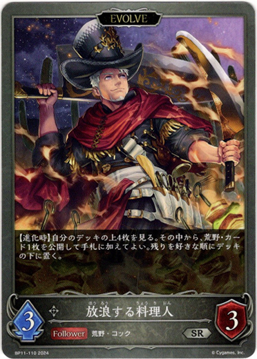 画像1: 【EVOLVE】放浪する料理人 (1)