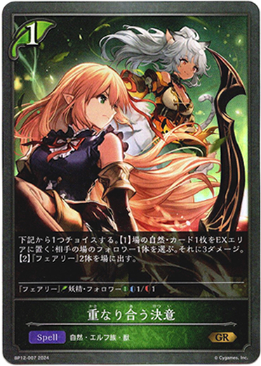 画像1: 重なり合う決意 (1)