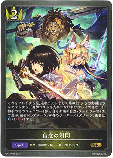 画像1: 信念の剣閃 (1)