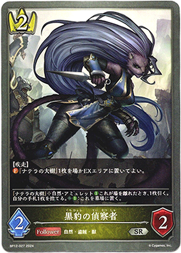 画像1: 黒豹の偵察者 (1)