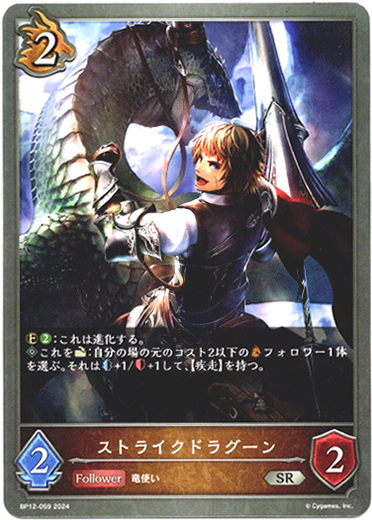 画像1: ストライクドラグーン (1)