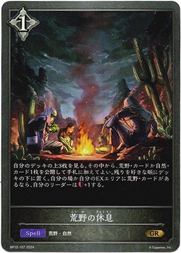 画像1: 荒野の休息 (1)