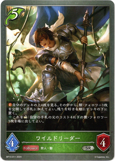 画像1: ワイルドリーダー (1)