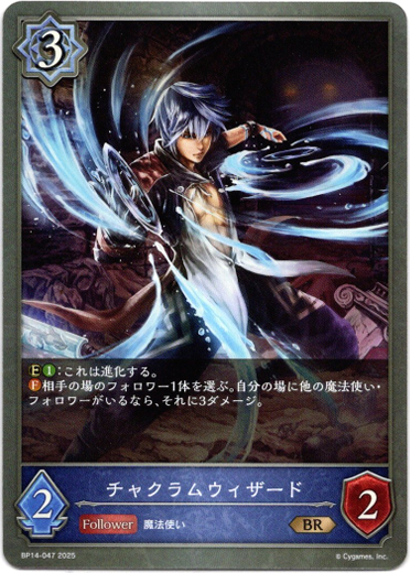 画像1: チャクラムウィザード (1)