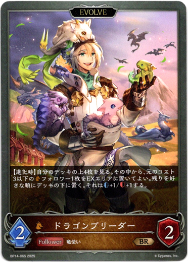 画像1: 【EVOLVE】ドラゴンブリーダー (1)