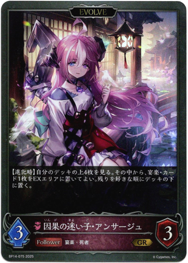 画像1: 【EVOLVE】因果の迷い子・アンサージュ (1)