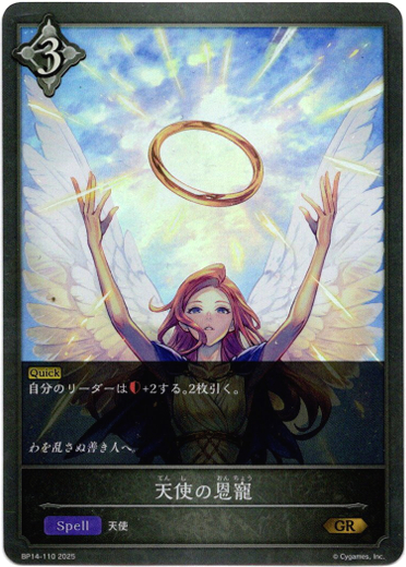 画像1: 天使の恩寵 (1)