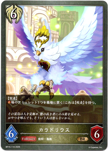 画像1: カラドリウス (1)