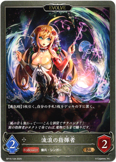 画像1: 【EVOLVE】流浪の指揮者 (1)