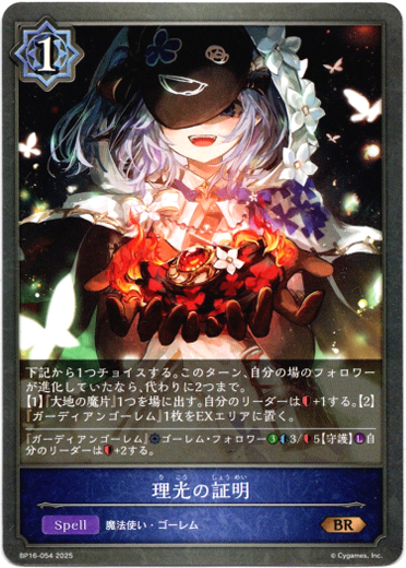 画像1: 理光の証明 (1)