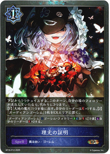 画像1: 【プレミアム】理光の証明 (1)