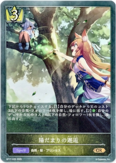 画像1: 陽だまりの邂逅 (1)