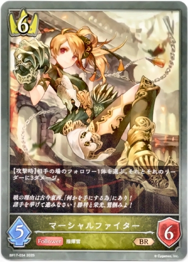 画像1: マーシャルファイター (1)