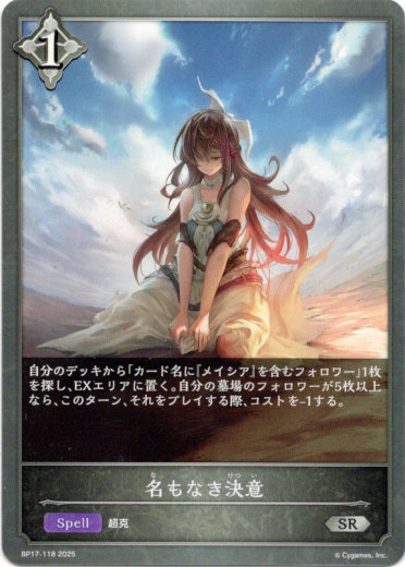 画像1: 名もなき決意 (1)