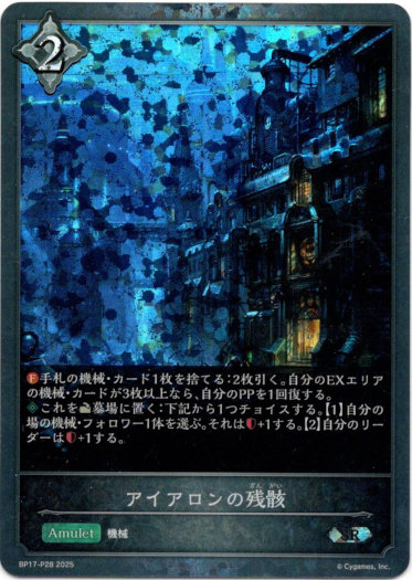 画像1: 【プレミアム】アイアロンの残骸 (1)