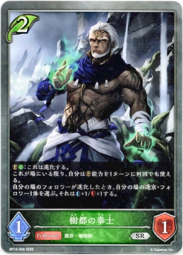 画像1: 樹都の拳士 (1)