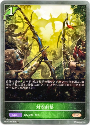 画像1: 対空射撃 (1)