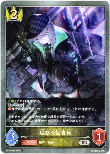 画像1: 隘路の調査員 (1)